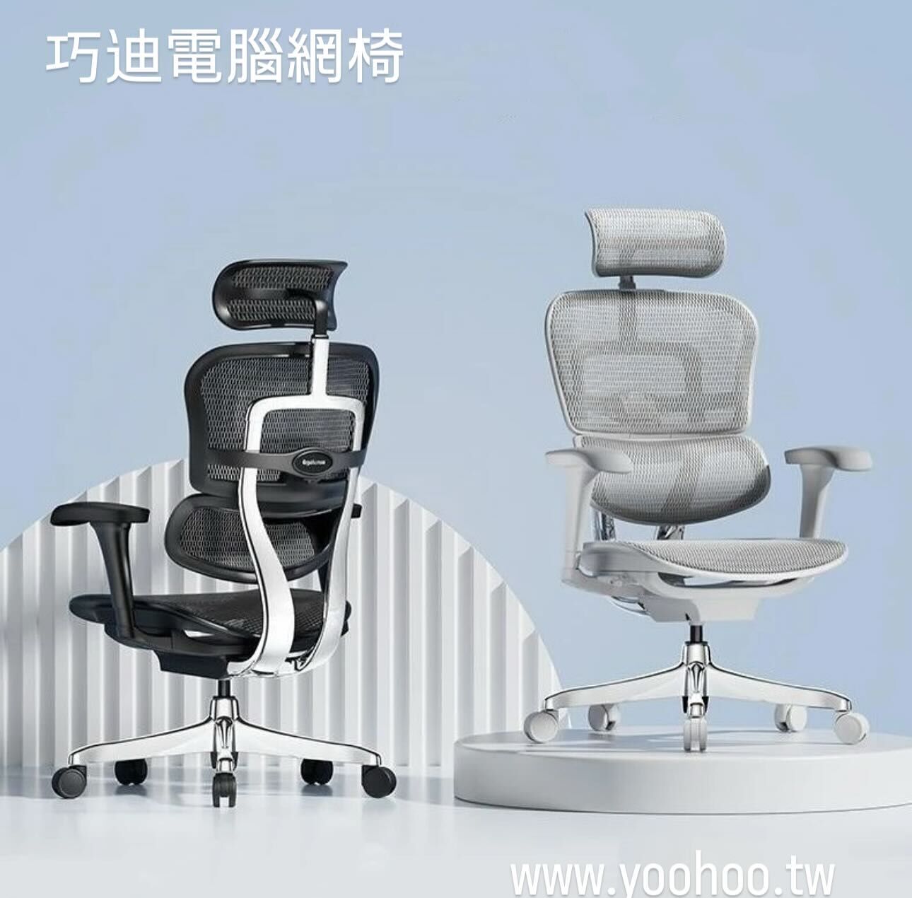 巧迪電腦網椅展示圖