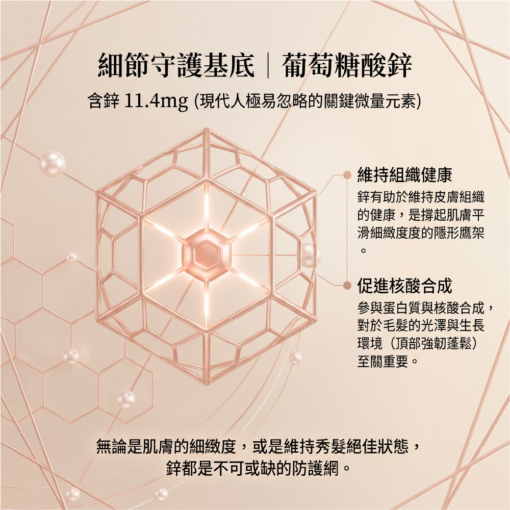 細節守護基底葡萄糖酸鋅,含鋅 11.4mg 關鍵微量元素,有助於維持組織健康、參與蛋白質與核酸合成,無論是細緻度或維持秀髮絕佳狀態都是不可或缺的防護網
