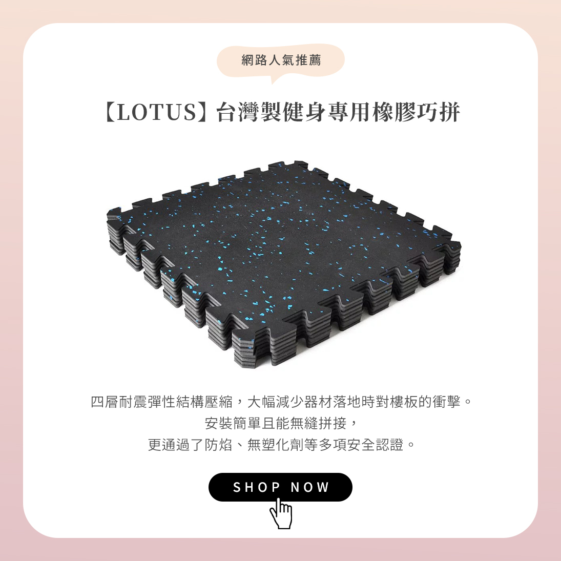 【LOTUS】台灣製健身巧拼