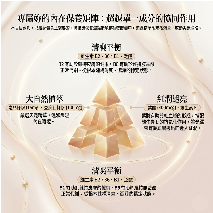超越單一成分的專屬內在保養矩陣:維生素B2有助於維持皮膚健康、B6有助於維持胺基酸正常代謝、葉酸有助於紅血球形成,搭配南瓜籽粉與亞麻仁籽粉大自然植萃溫和調理
