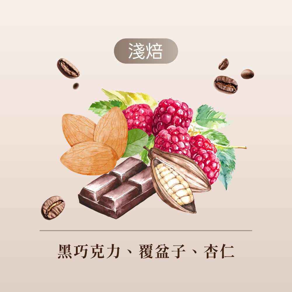 衣索比亞 非洲之王 果丁丁
