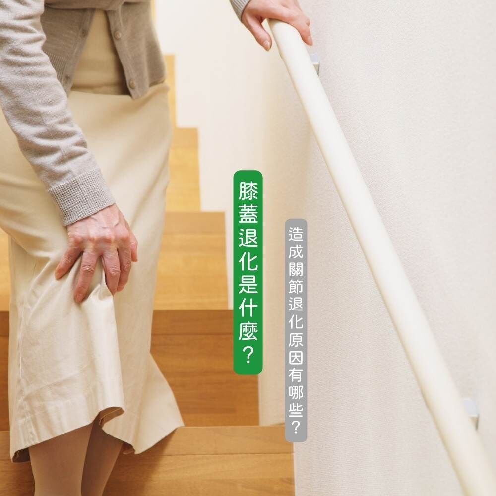 膝蓋退化與關節退化原因示意圖