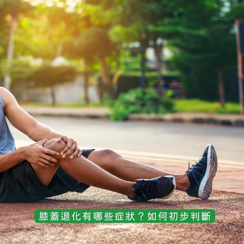 膝蓋退化症狀與初步判斷示意圖