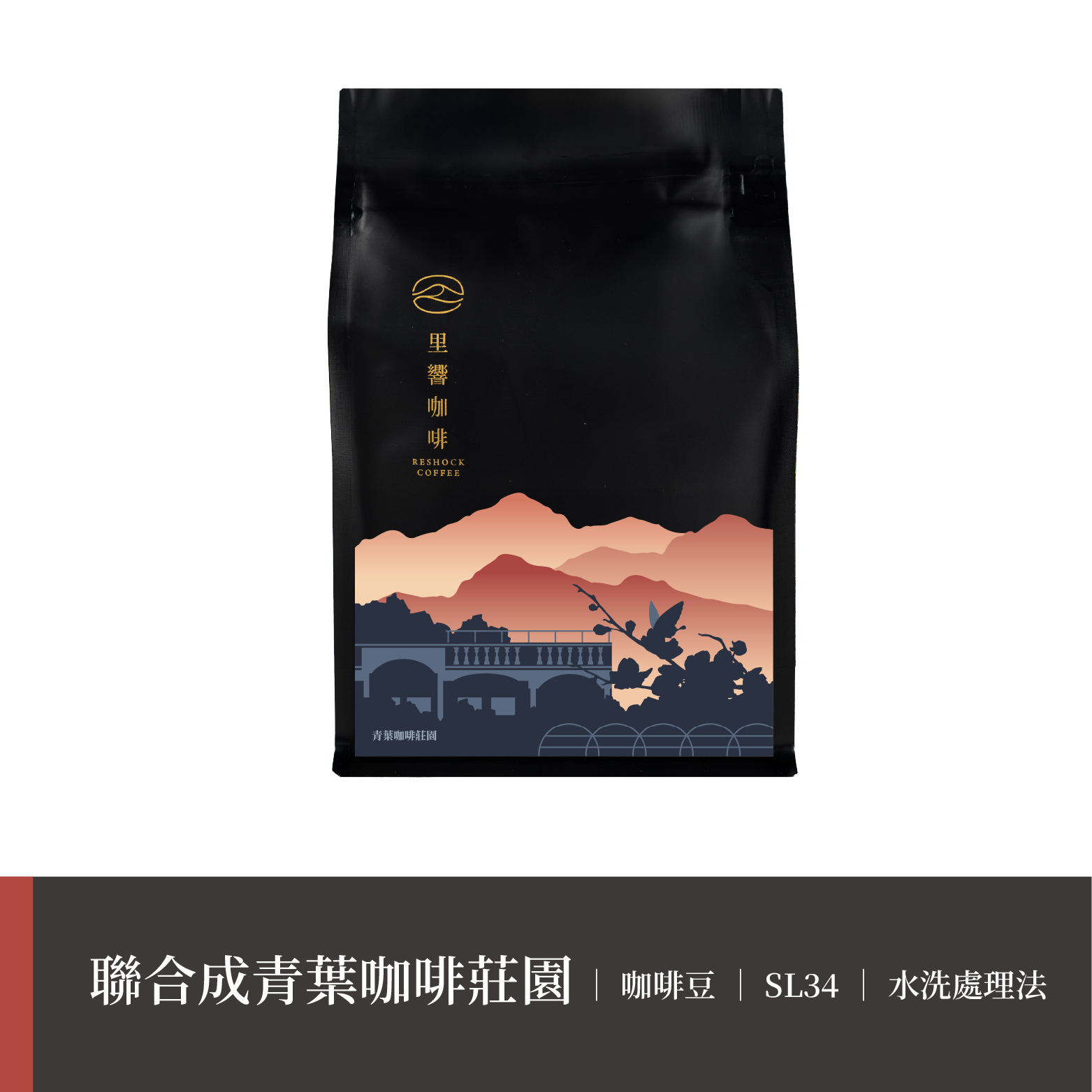 【聯和成青葉咖啡莊園】SL34｜水洗