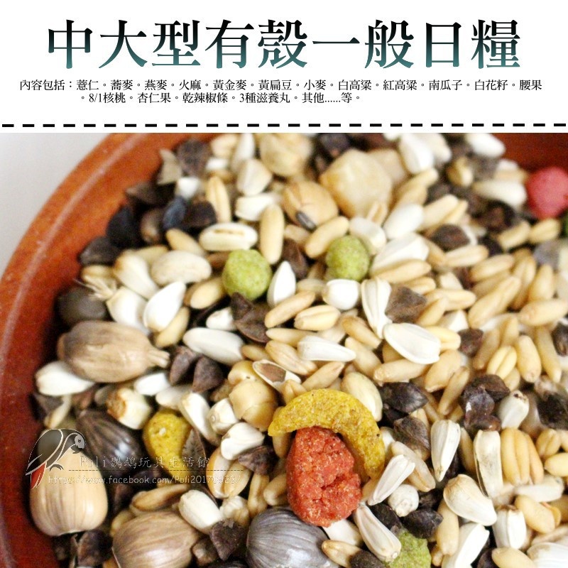 無瓜子飼料 中大型有殼一般日糧 波力鸚鵡玩具生活館