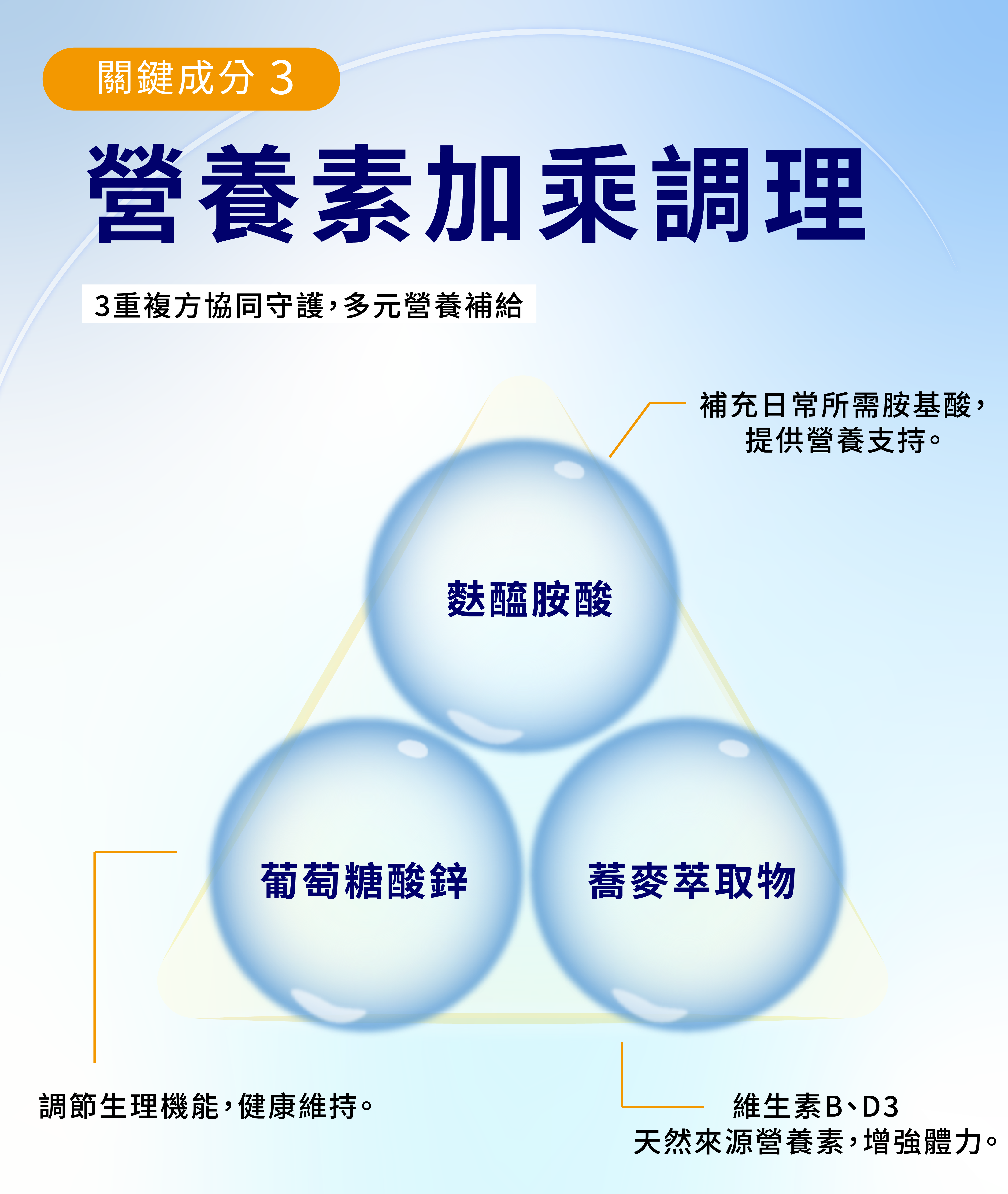 3重複方協同守護,多元營養補給