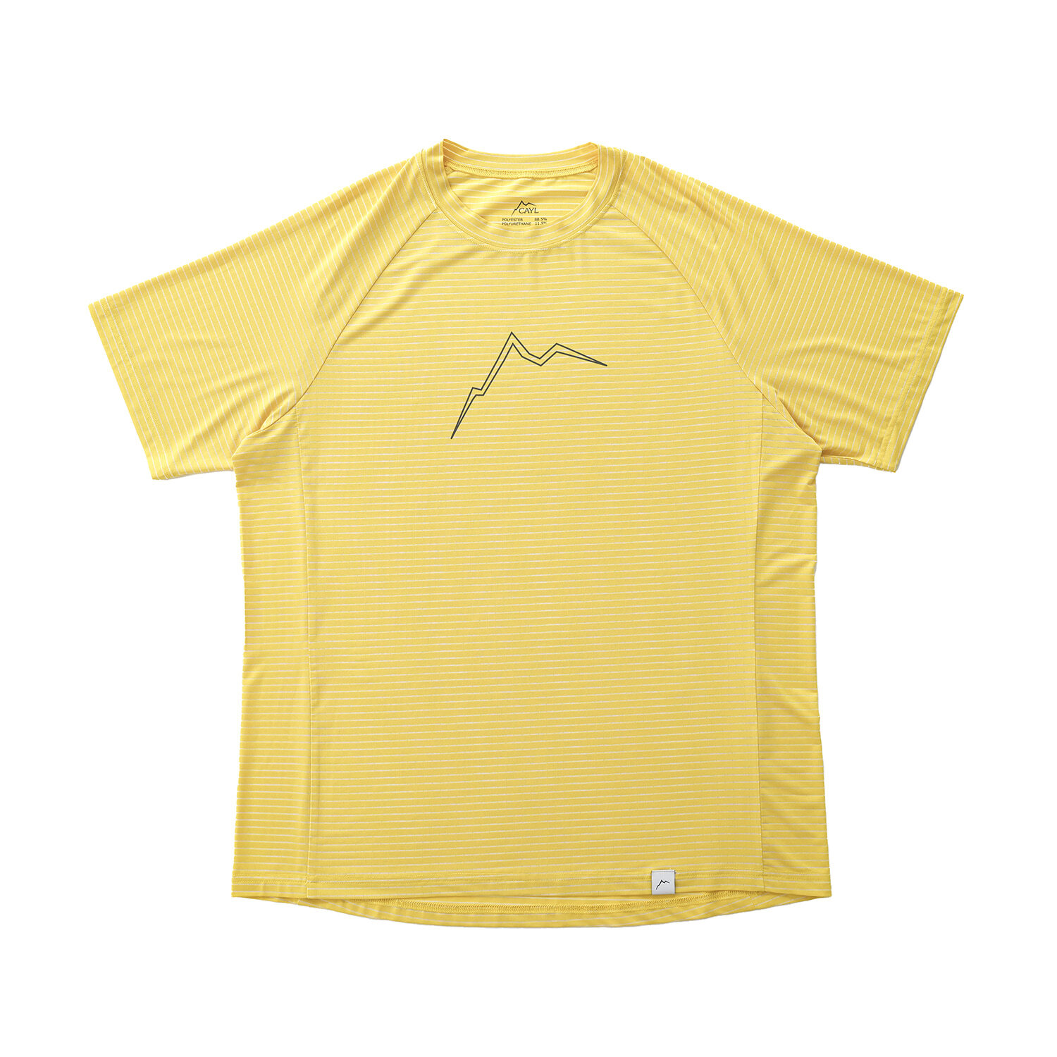 CAYL Stripe B.L. Short Sleeve 細條紋透氣短袖排汗上衣 26SS