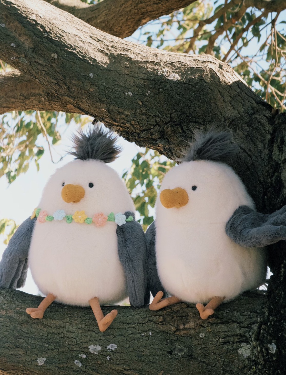 （預購）Jellycat 奇普海鷗 玩偶 25cm