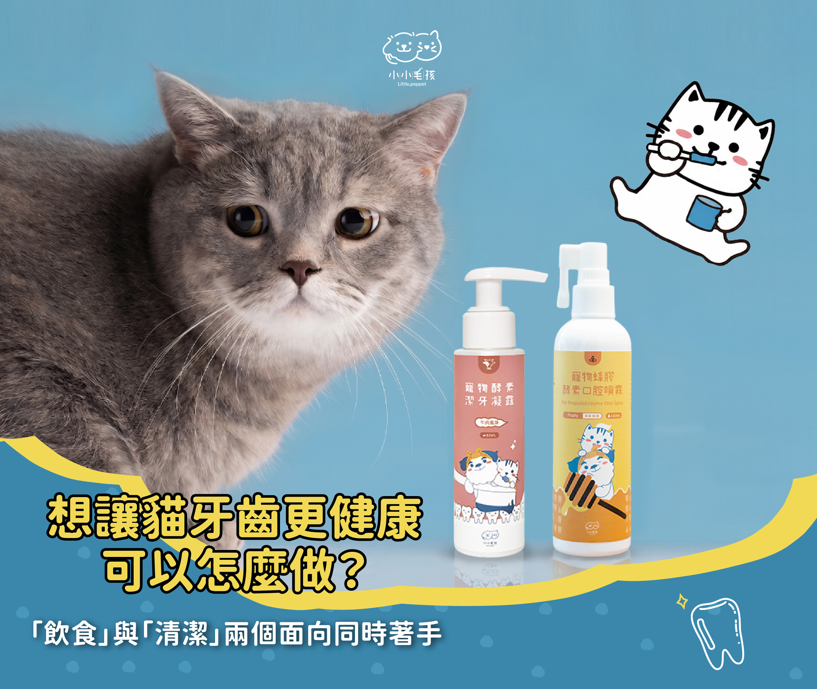 貓牙齒照顧方式
