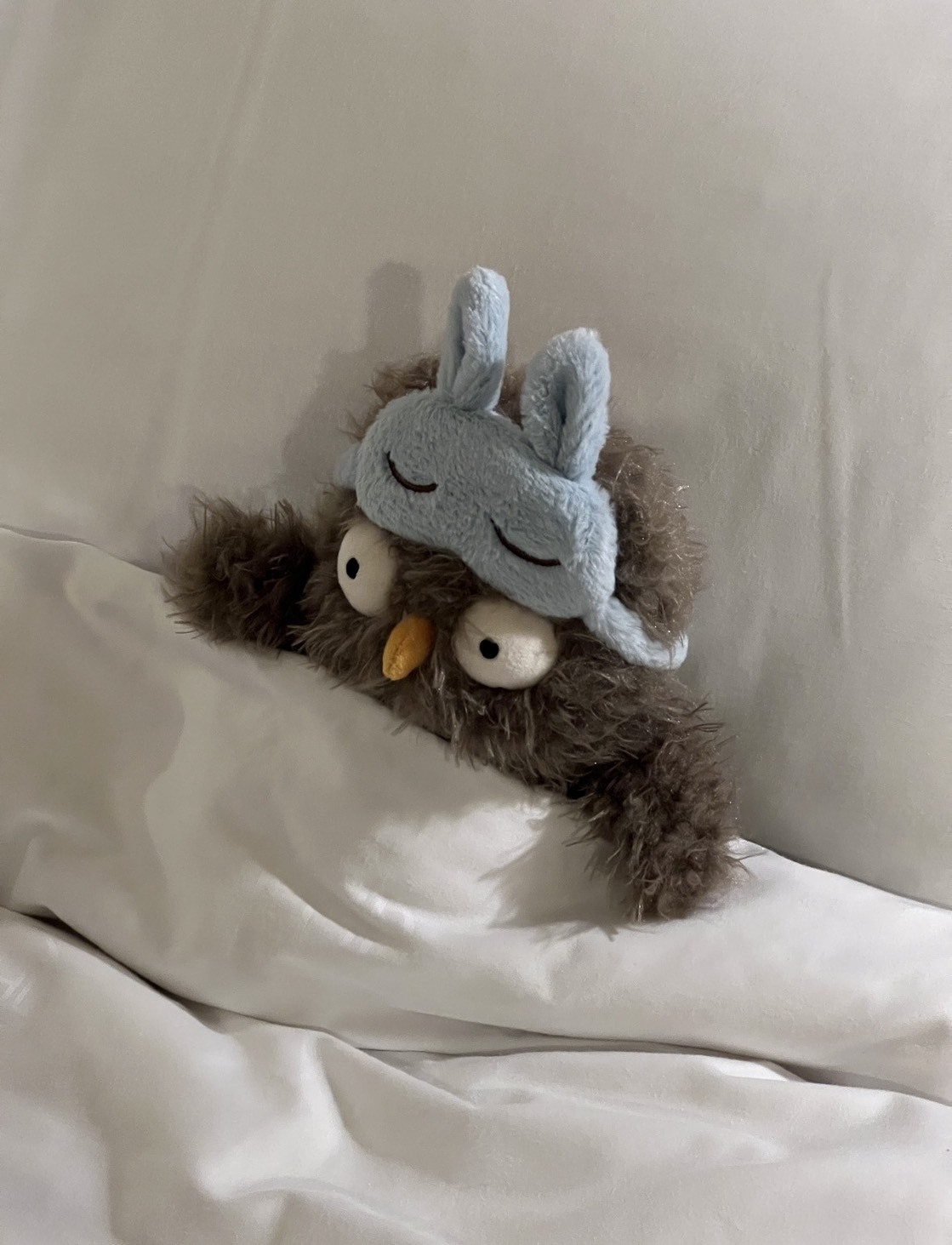 （預購）Jellycat Audrey Hootsoftly 奧黛莉 眼罩貓頭鷹 玩偶