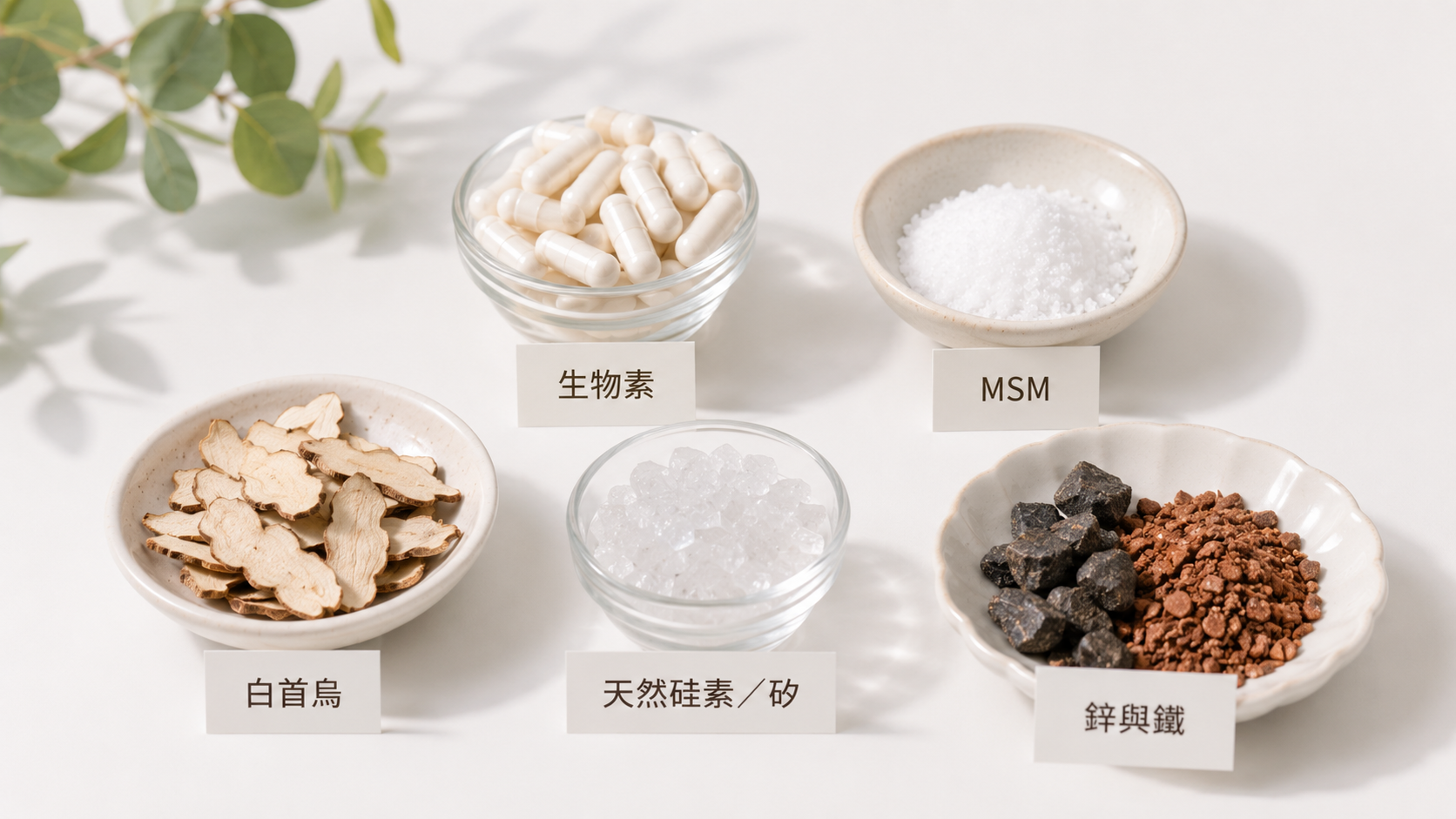 頭髮保健食品營養素