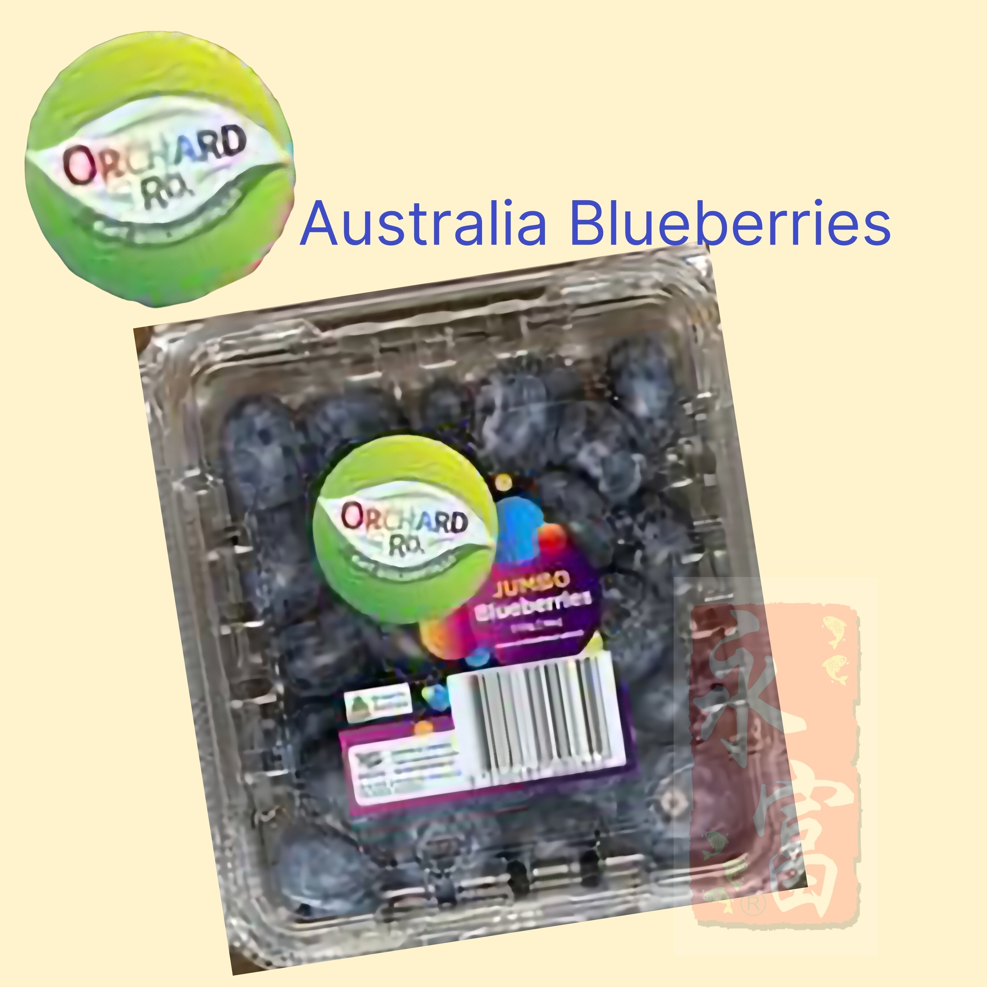 澳洲藍莓