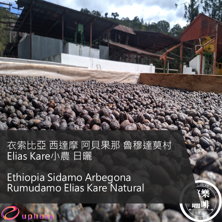 Ethiopia Sidamo Arbegona Rumudamo Elias Kare Natural