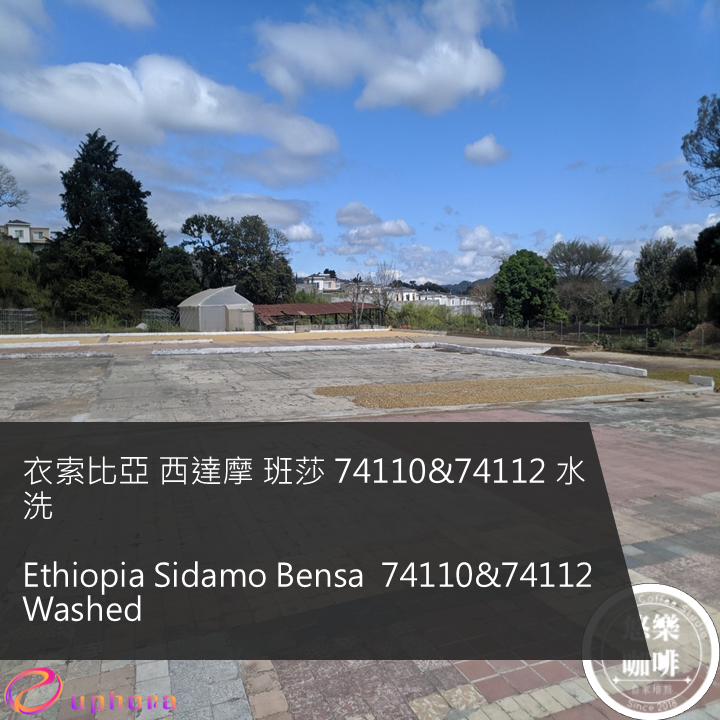 Ethiopia Sidamo Bensa  74110&74112 Washed