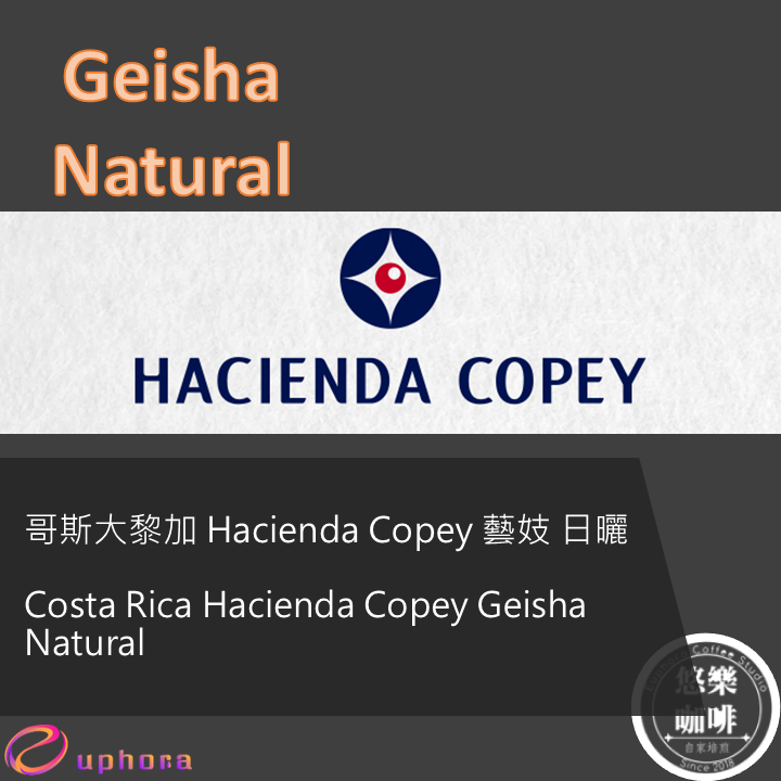 Costa Rica Hacienda Copey Geisha Natural
