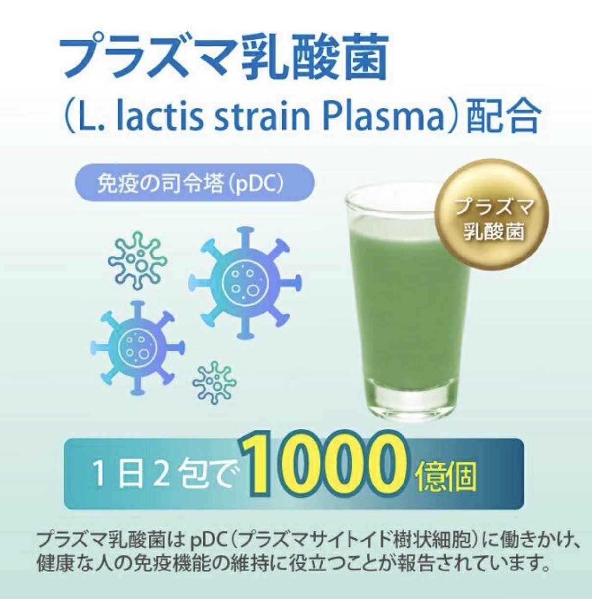 【Costco限定】JP 金の青汁 Plasma乳酸菌免疫機能青汁 2755 TK260602