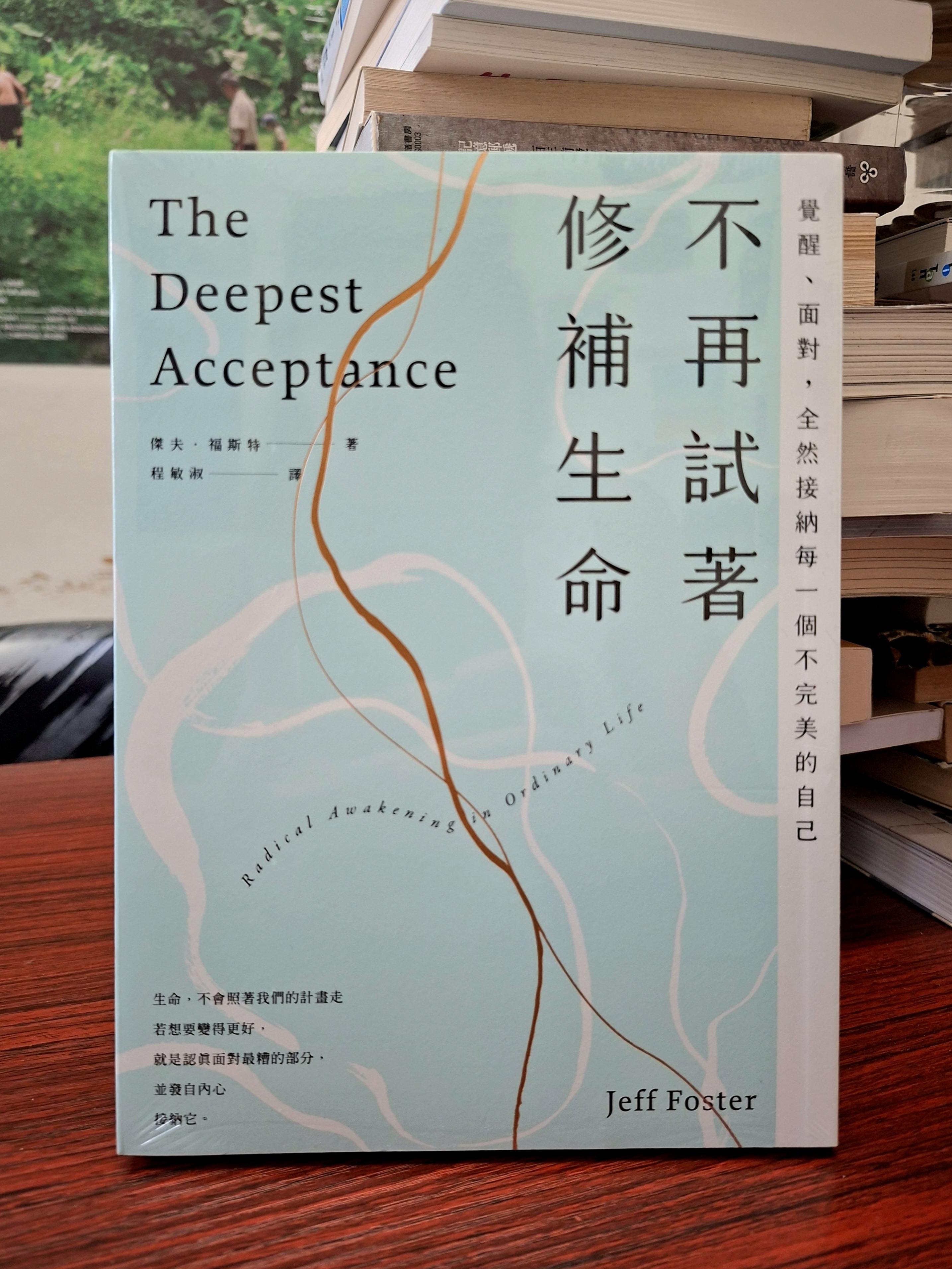 《不再試著修補生命：覺醒、面對，全然接納每一個不完美的自己》