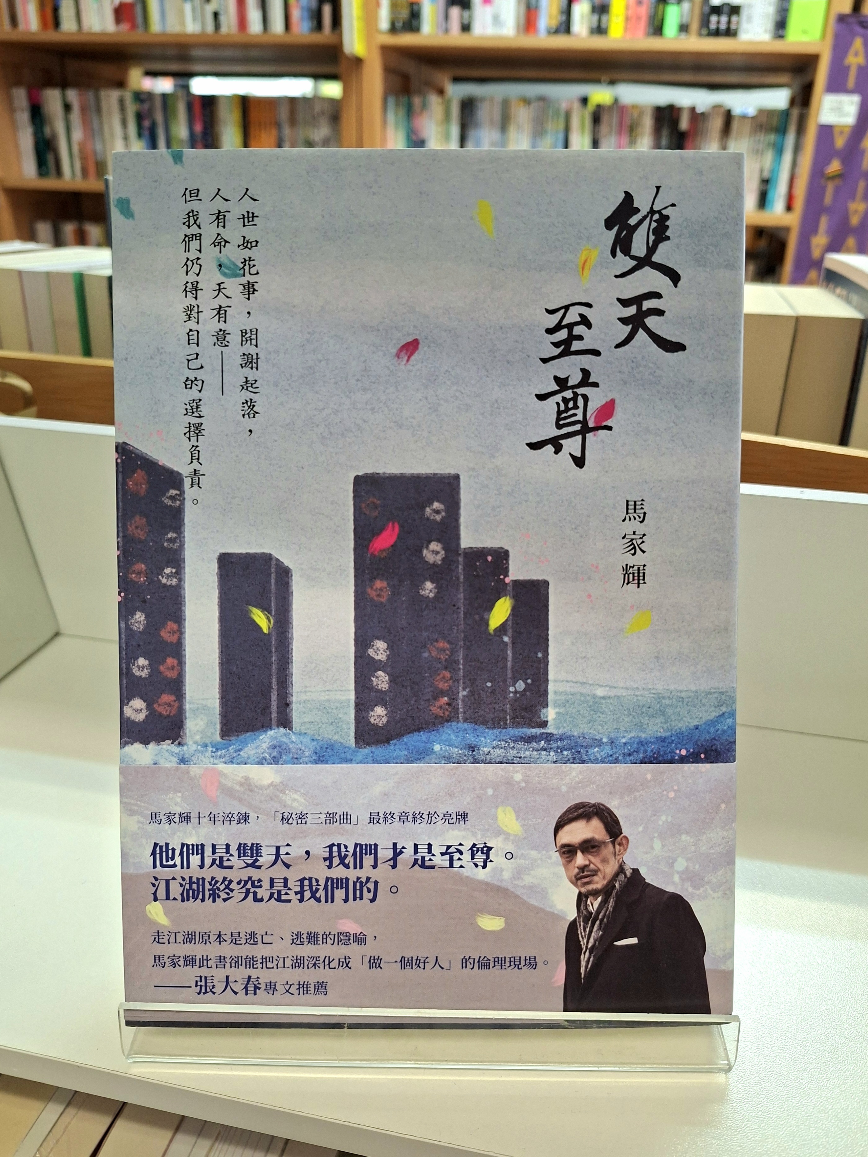 《雙天至尊》