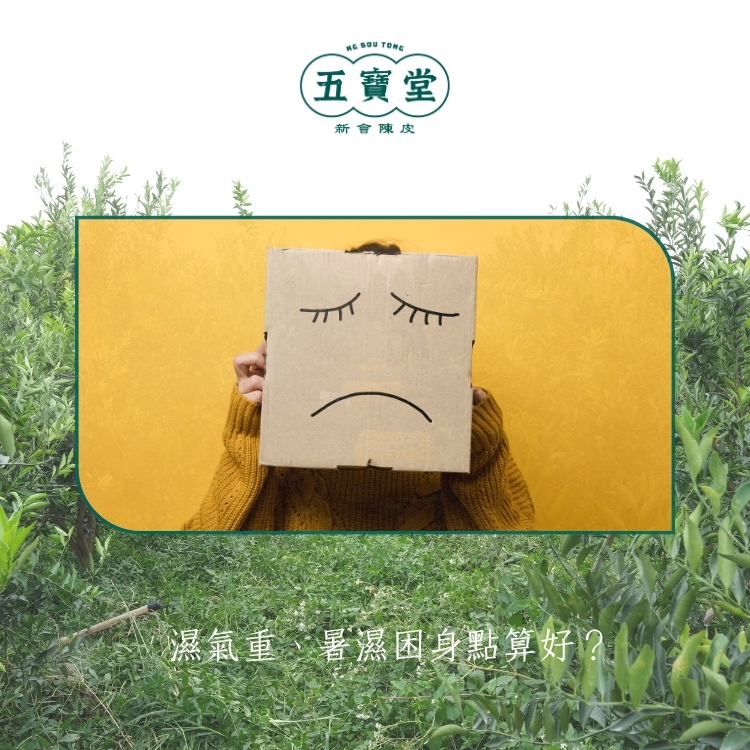 濕氣重、暑濕困身點算好?