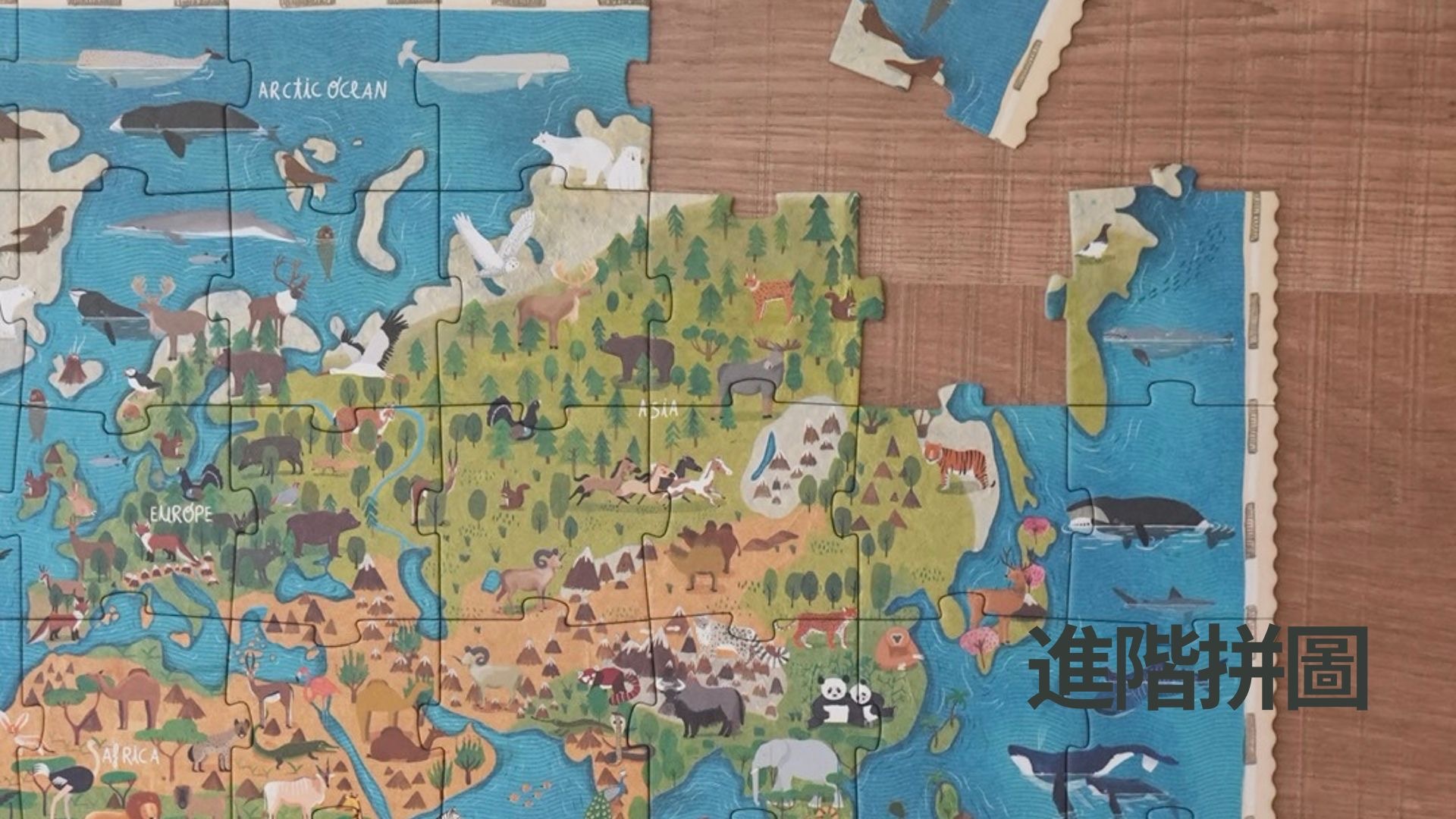 西班牙Londji | 進階拼圖