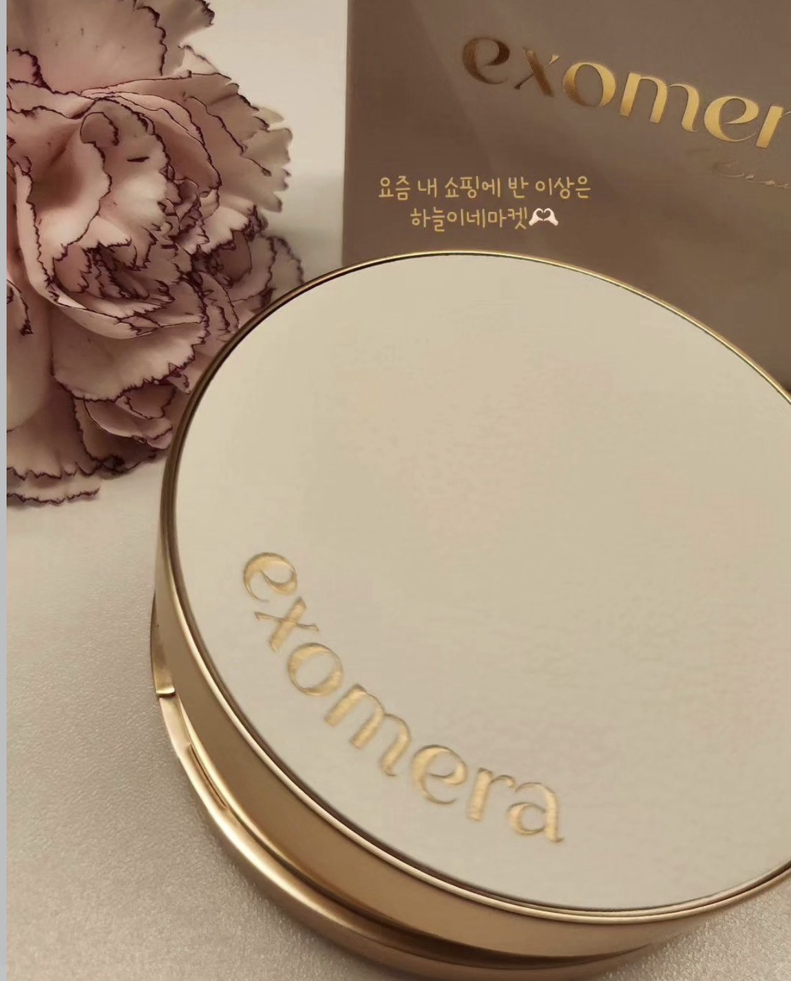 韓國 EXOMERA 美肌煥彩毛孔遮瑕氣墊 15g