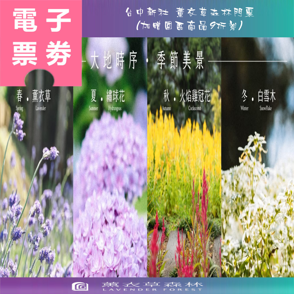 lavenderforest