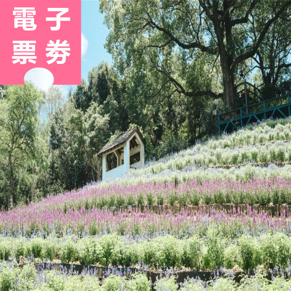lavenderforest