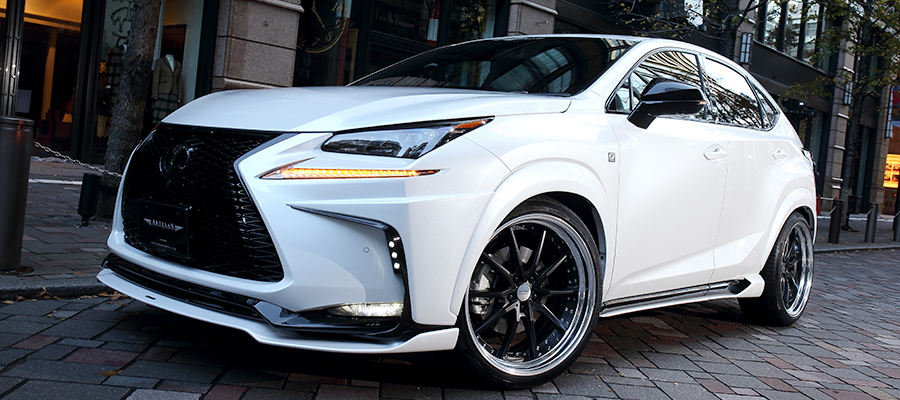 ARTISAN SPIRITS 前保左右飾板 LEXUS NX 2015-2017