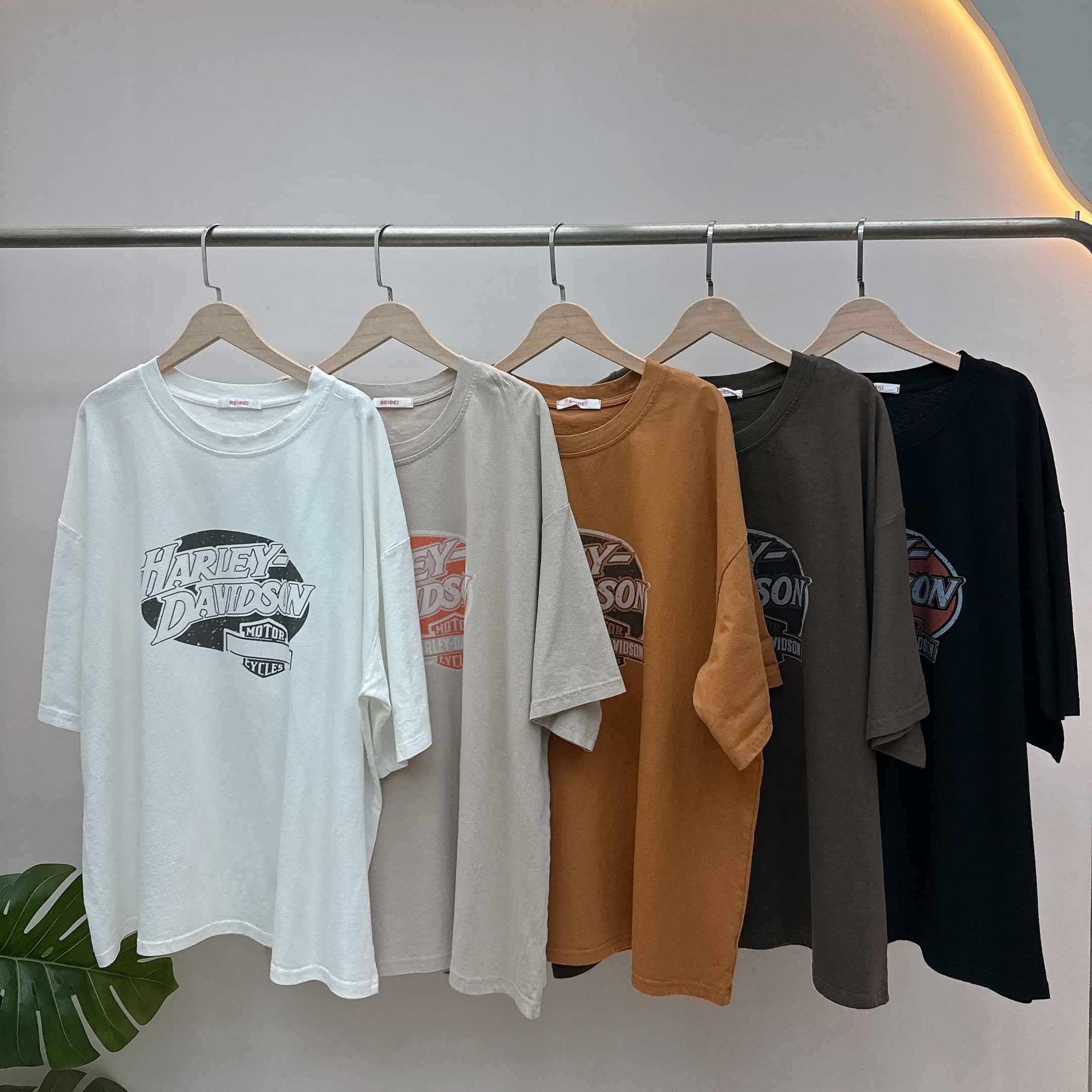 Y18