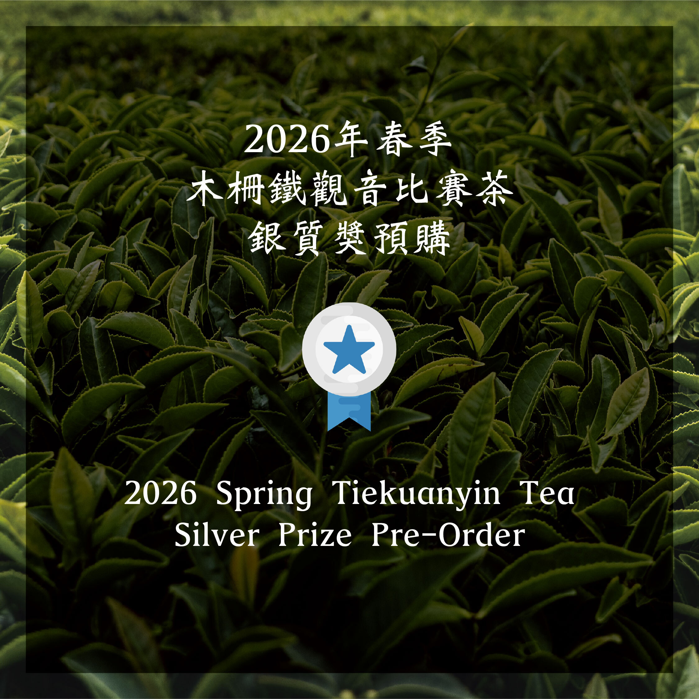 木柵鐵觀音茶銀質獎—2026年春