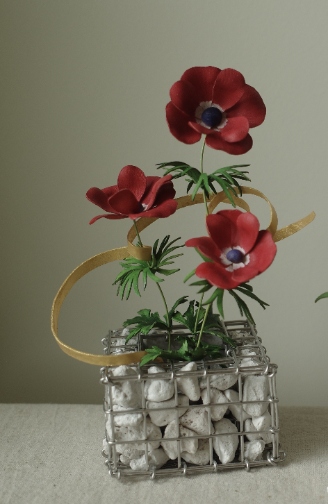 緩室 Huan's｜歐洲銀蓮花盆栽