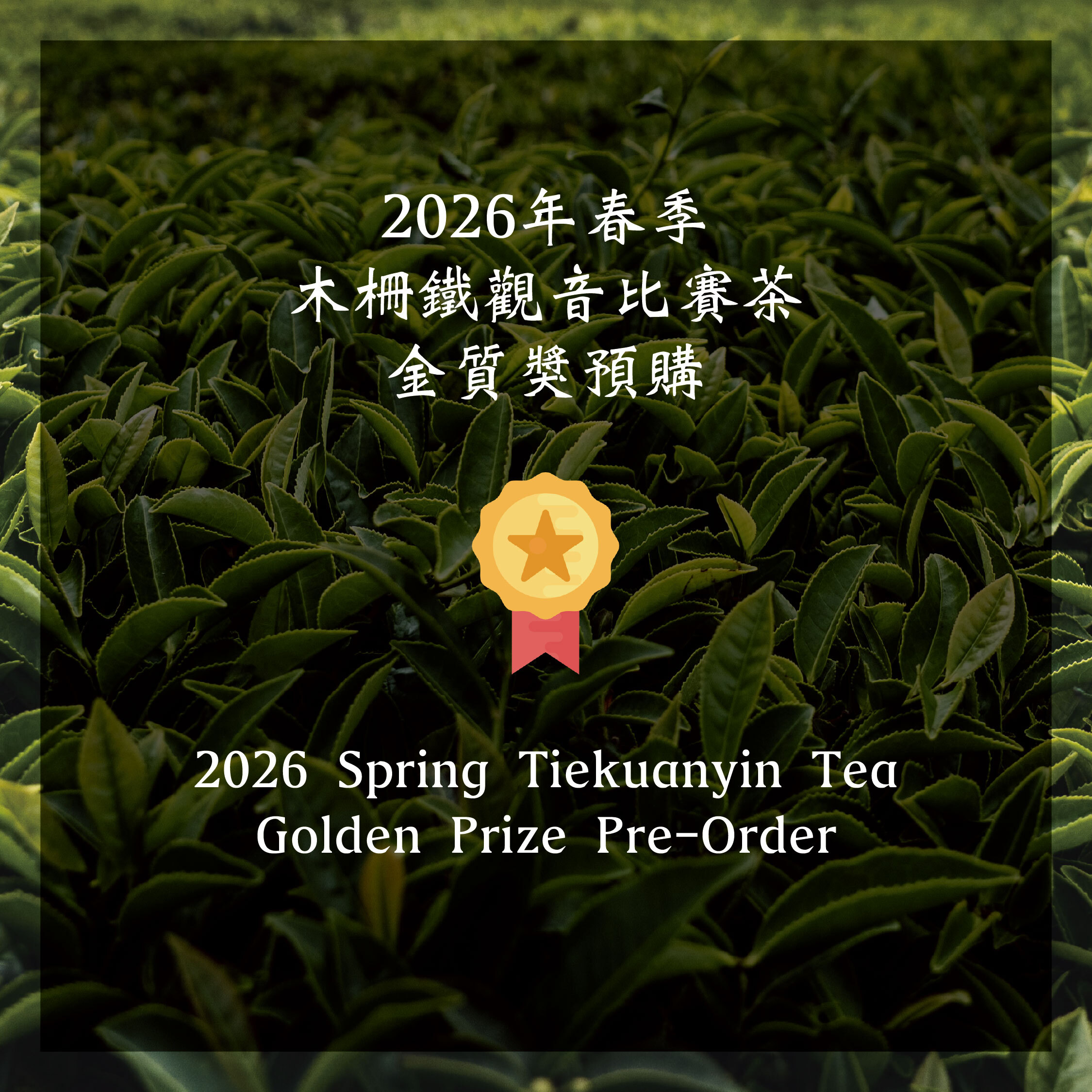 木柵鐵觀音茶金質獎—2026年春