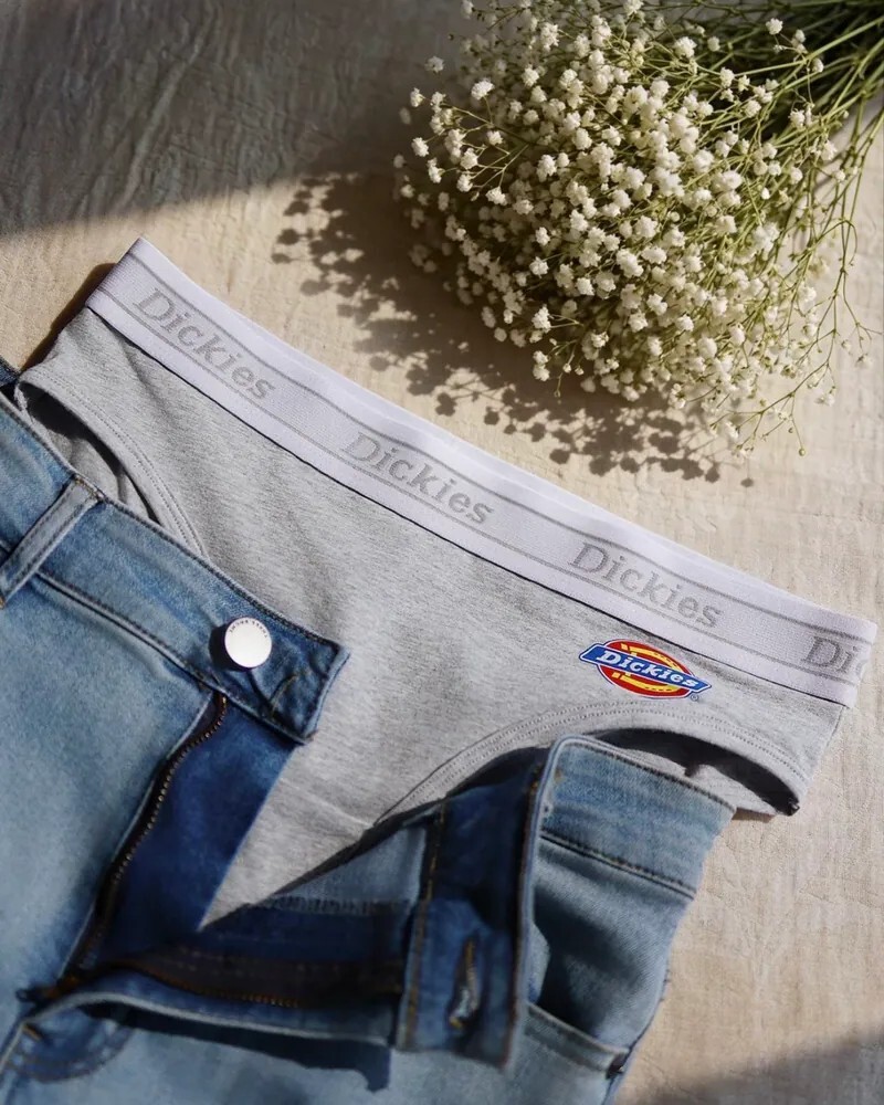 <美式街頭辣度直接拉滿🥵🌶️> Dickies 純棉 中腰 內褲 三入組