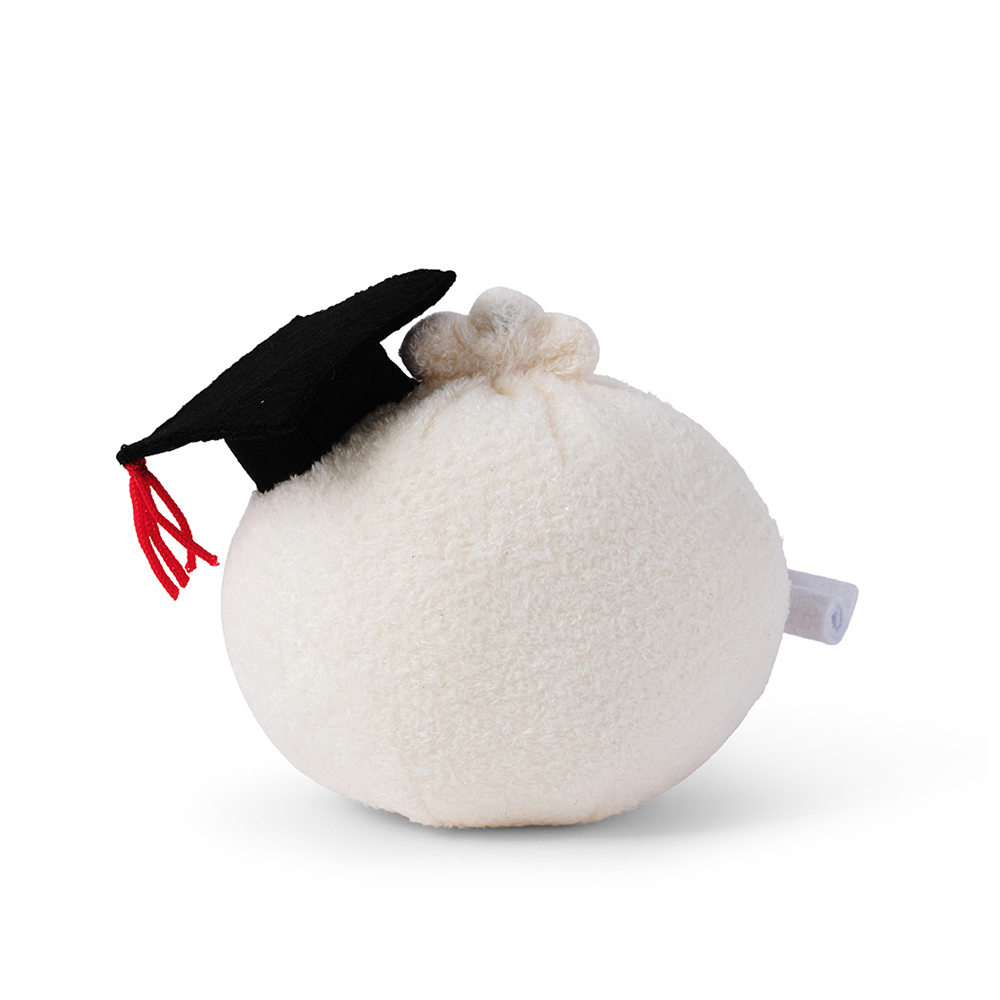 noodoll Graduation Ricebao 畢業米寶包