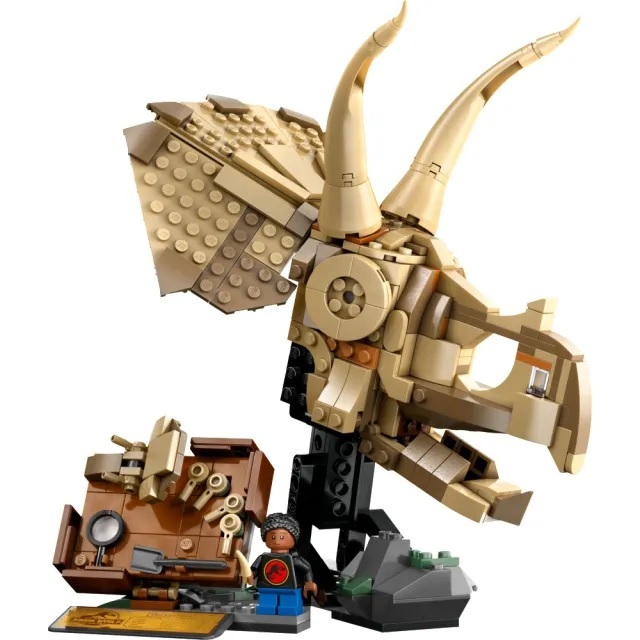 【玩具研究中心】LEGO 樂高 侏儸紀世界 恐龍化石：三角龍頭骨 76969