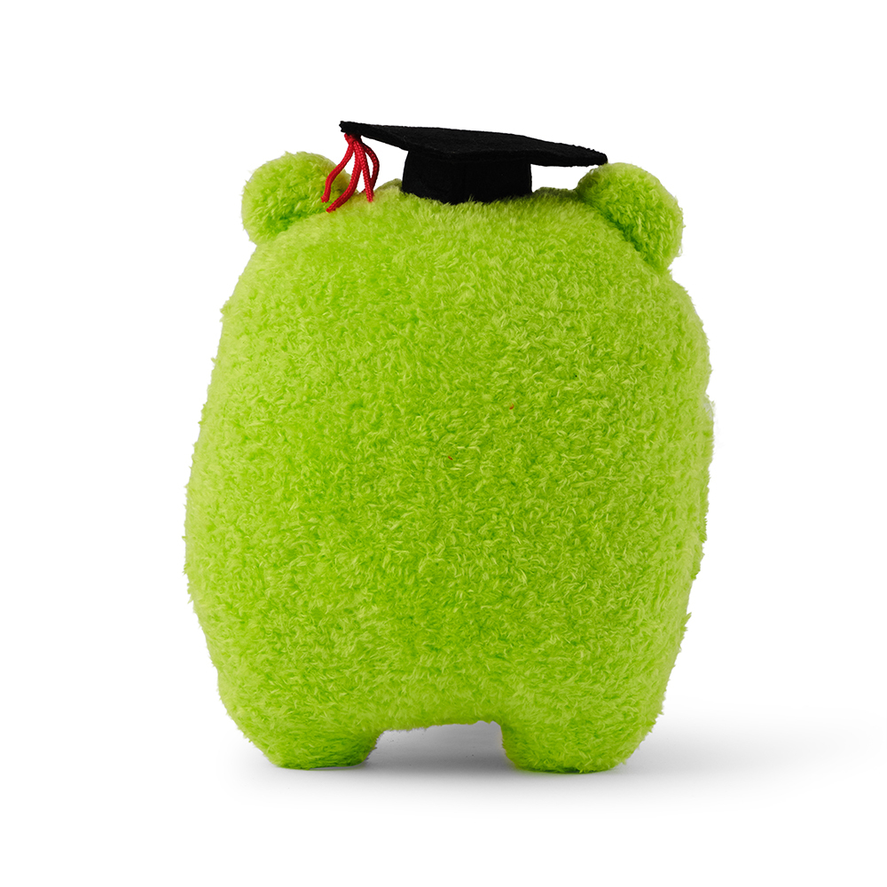 noodoll Graduation Riceribbit 畢業青蛙娃娃