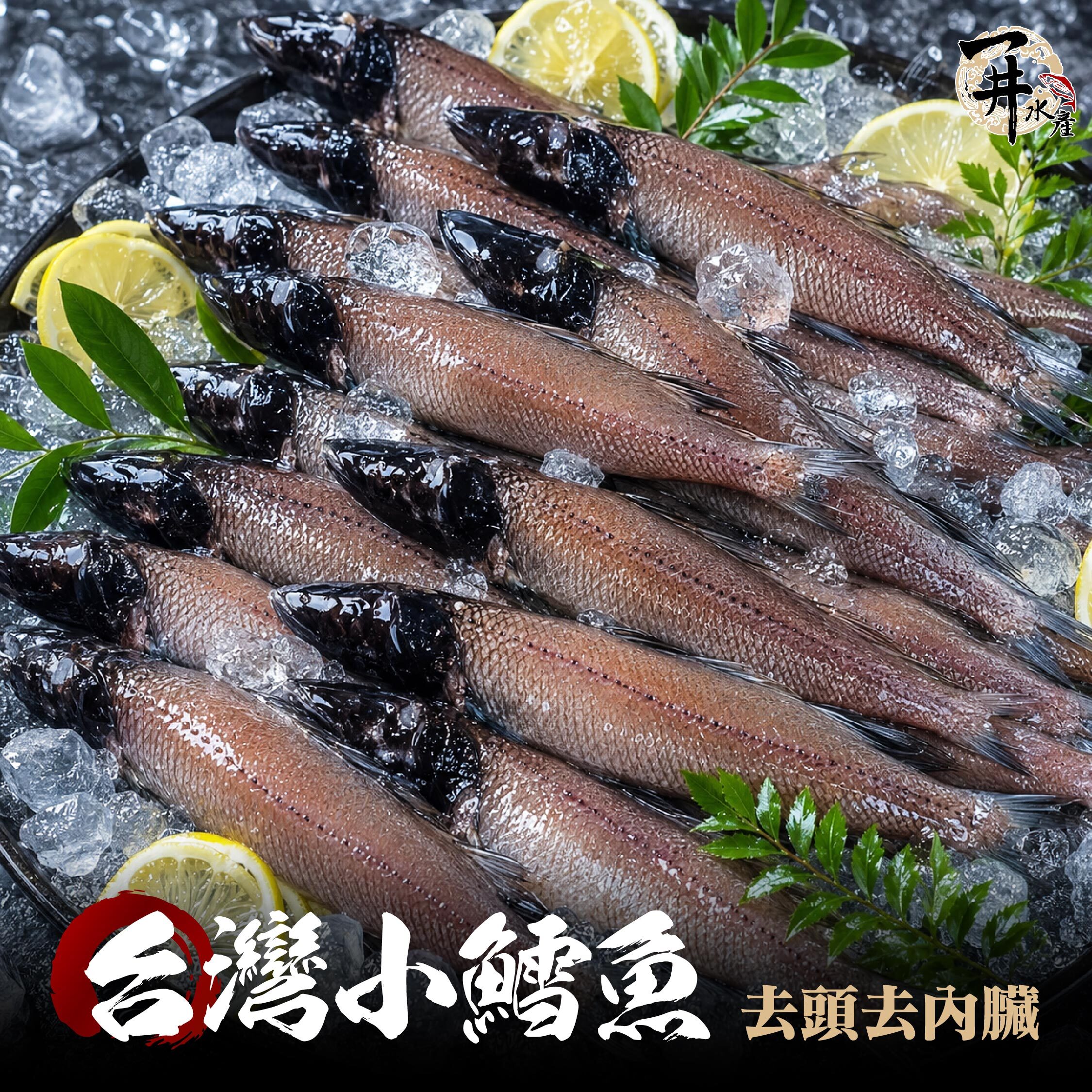 台灣 小鱈魚（哈克魚）｜深海白肉魚