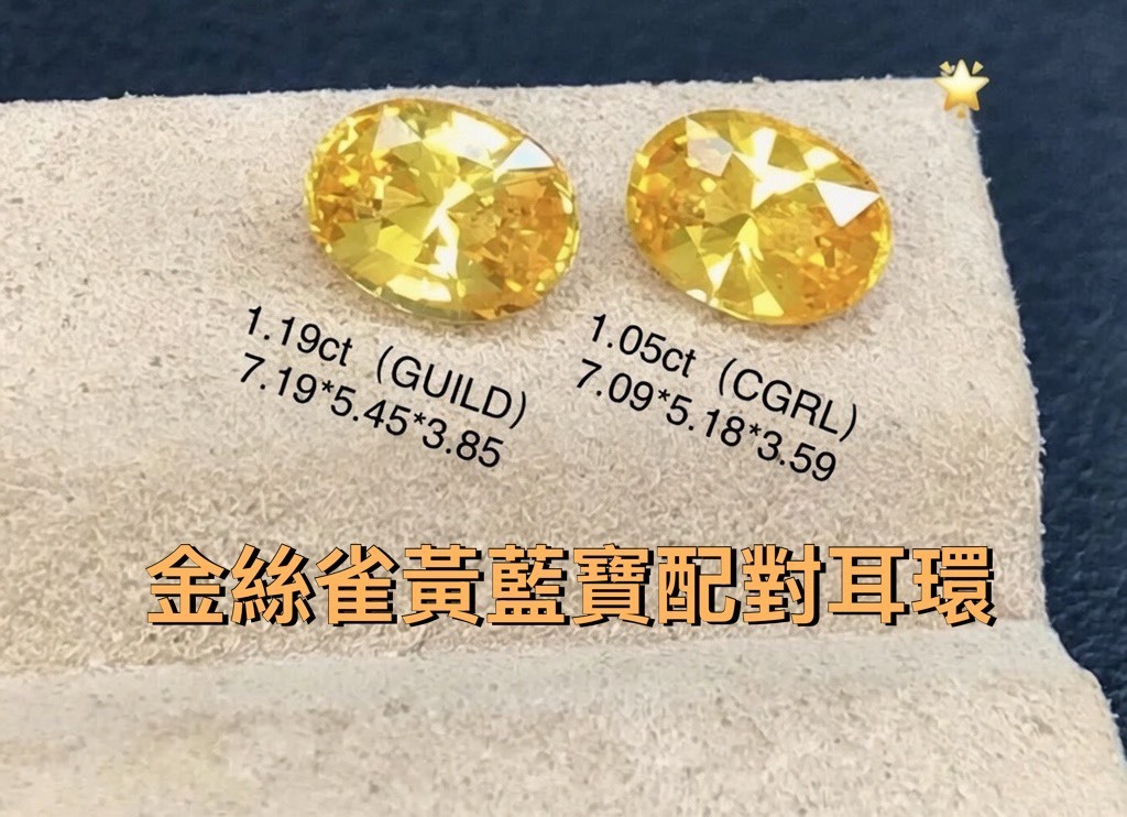 燦金雀翎｜金絲雀黃藍寶