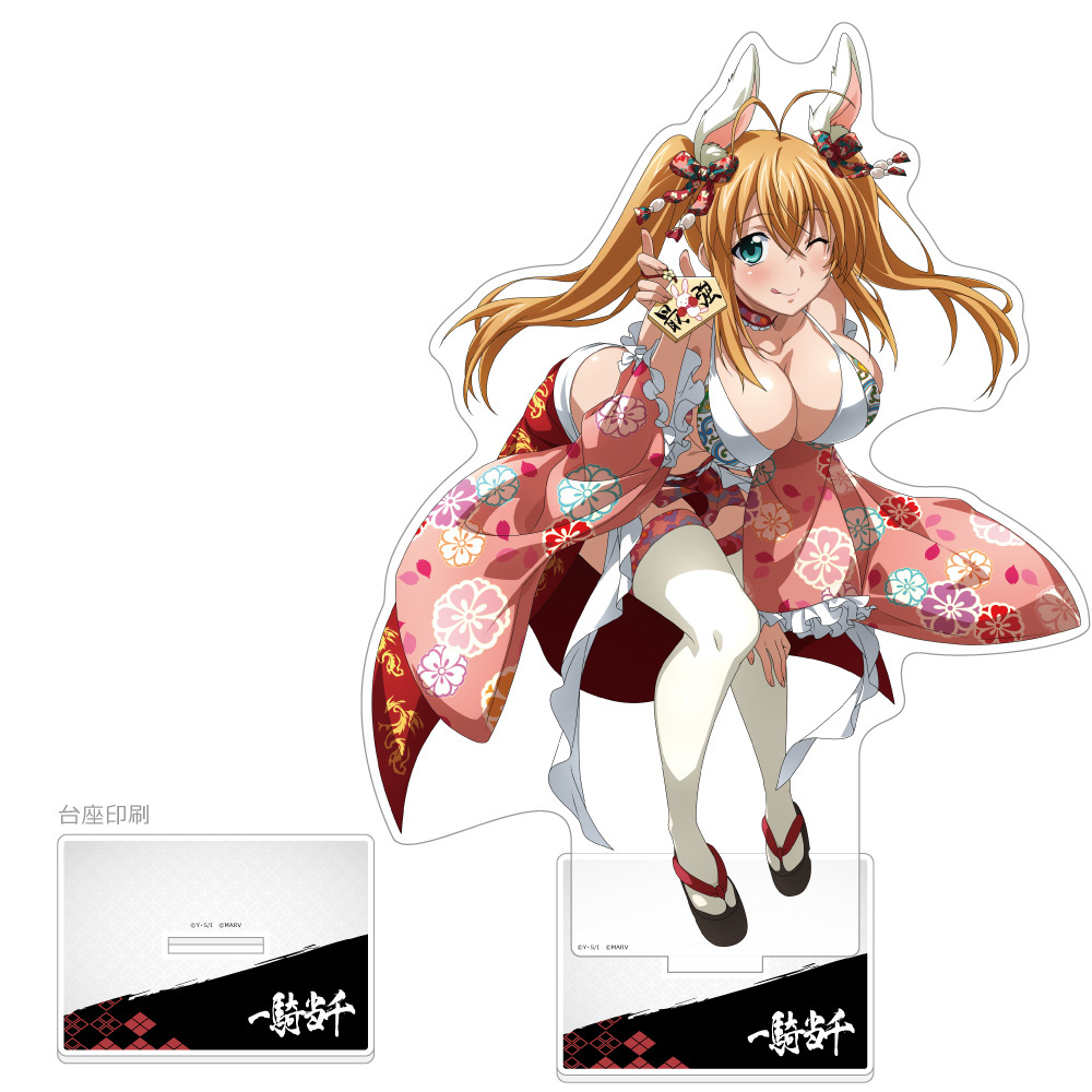 「ACG.GO」「預購」Curtain Tamashii《一騎當千》 特大立牌