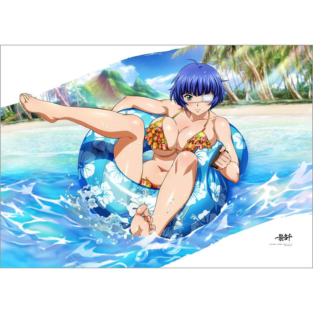 「ACG.GO」「預購」Curtain Tamashii《一騎當千》 被套