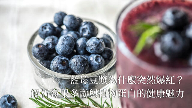 藍莓豆漿