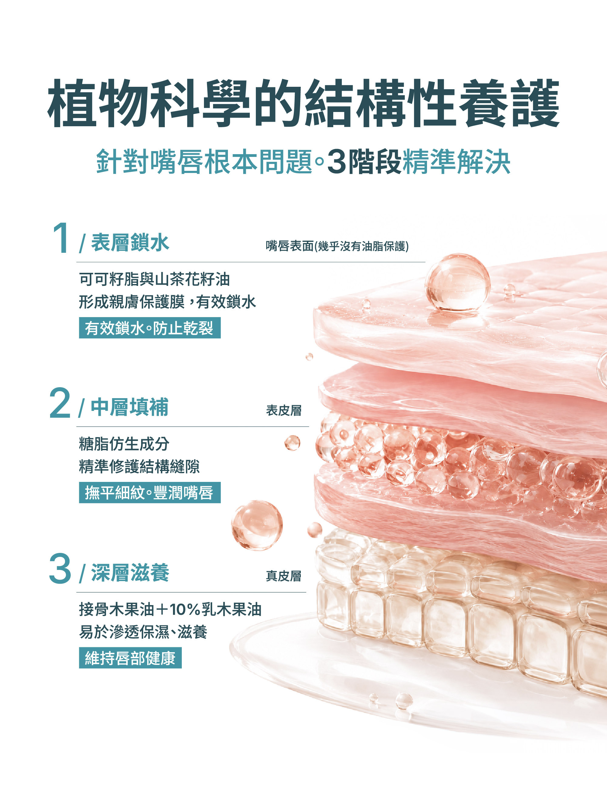 Z研護唇膏3段植物科學養護結構圖，表層鎖水中層撫平唇紋深層滋養