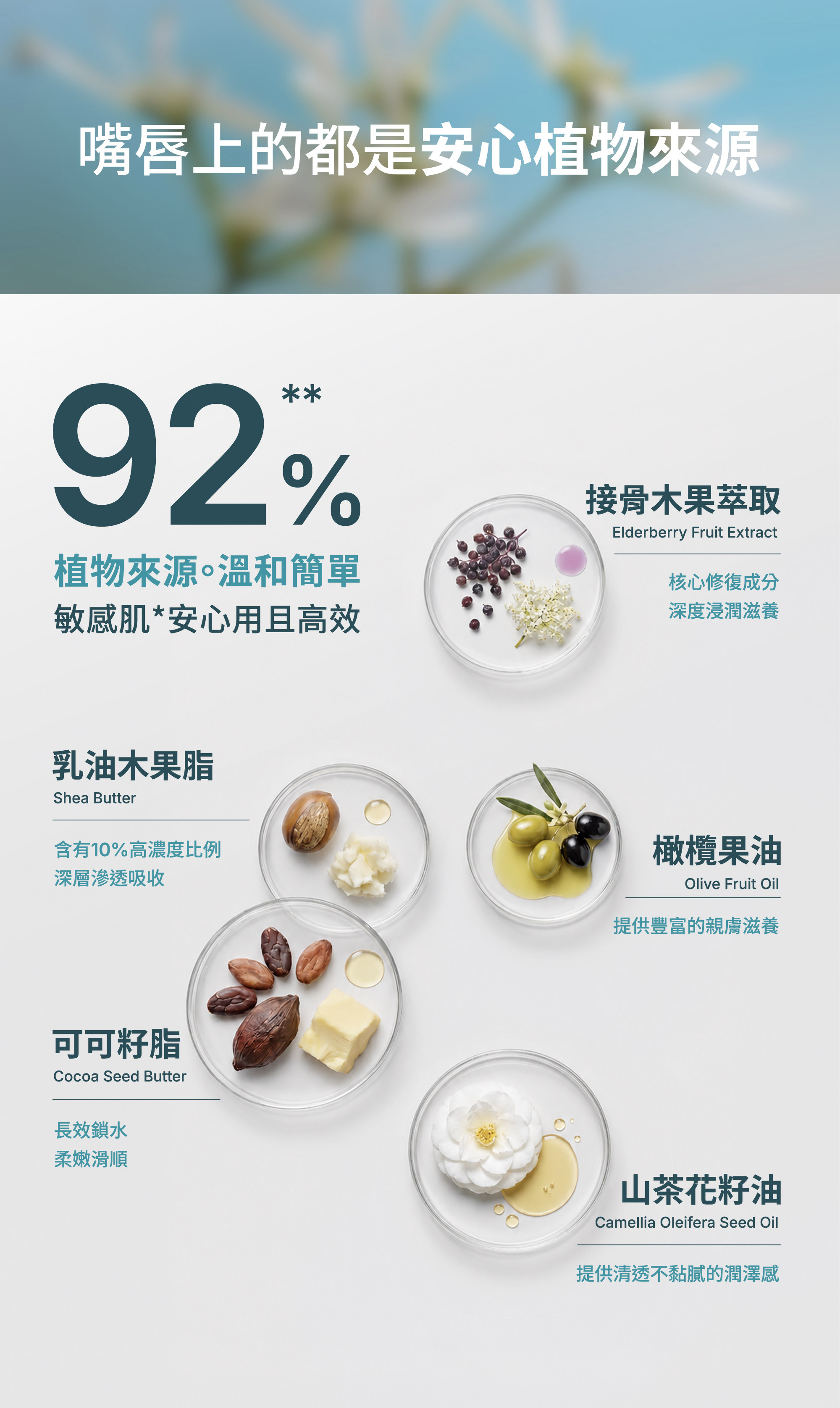 Z研護唇膏五大植物成分：接骨木果萃取、乳油木果脂、橄欖果油、可可籽脂、山茶花籽油