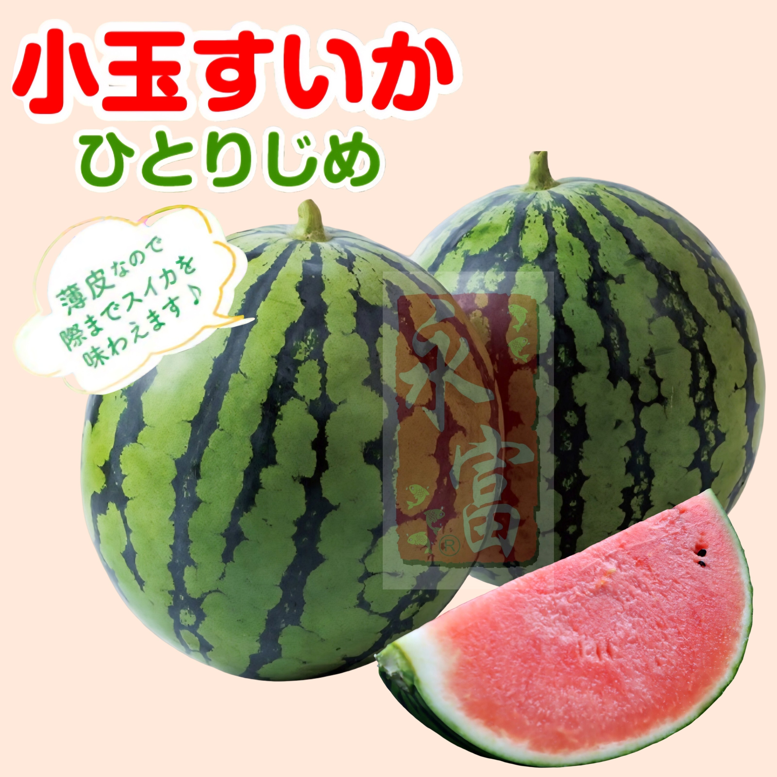 日本熊本縣小肉西瓜(1.2-1.5k)