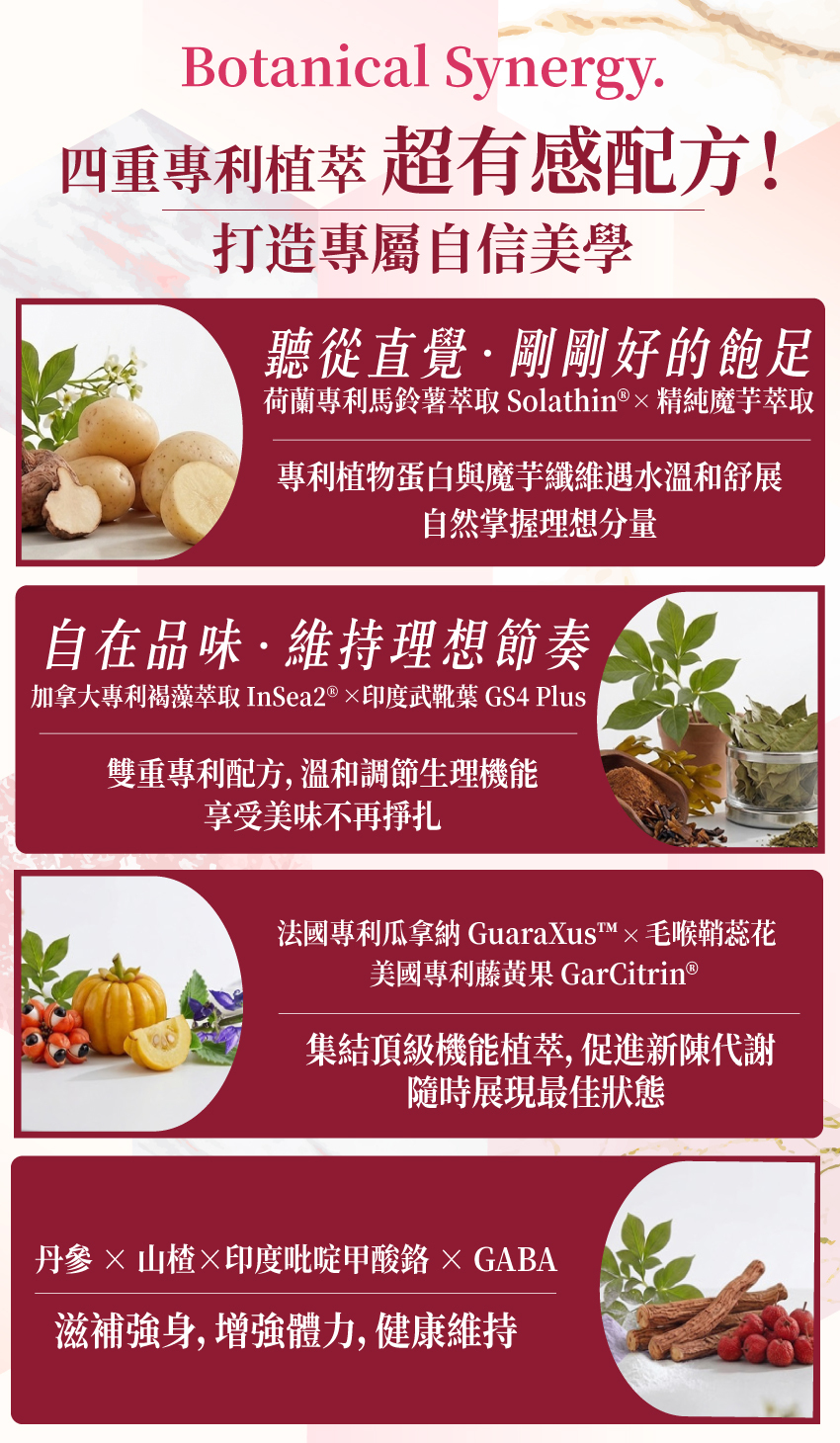 SASANA 纖羽錠核心配方：融合專利褐藻、馬鈴薯蛋白與瓜拿納等成分，全方位促進新陳代謝