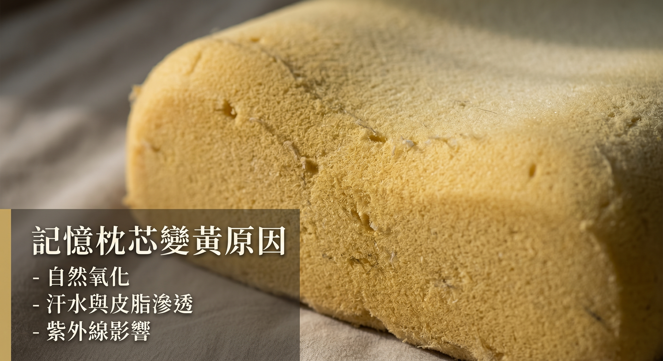 記憶枕的專家＿歐瑞思ｏｒｅｓｔ