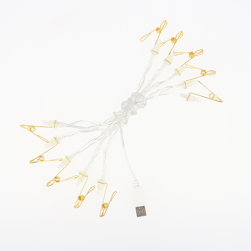 LED燈串/USB 10顆LED 夾子