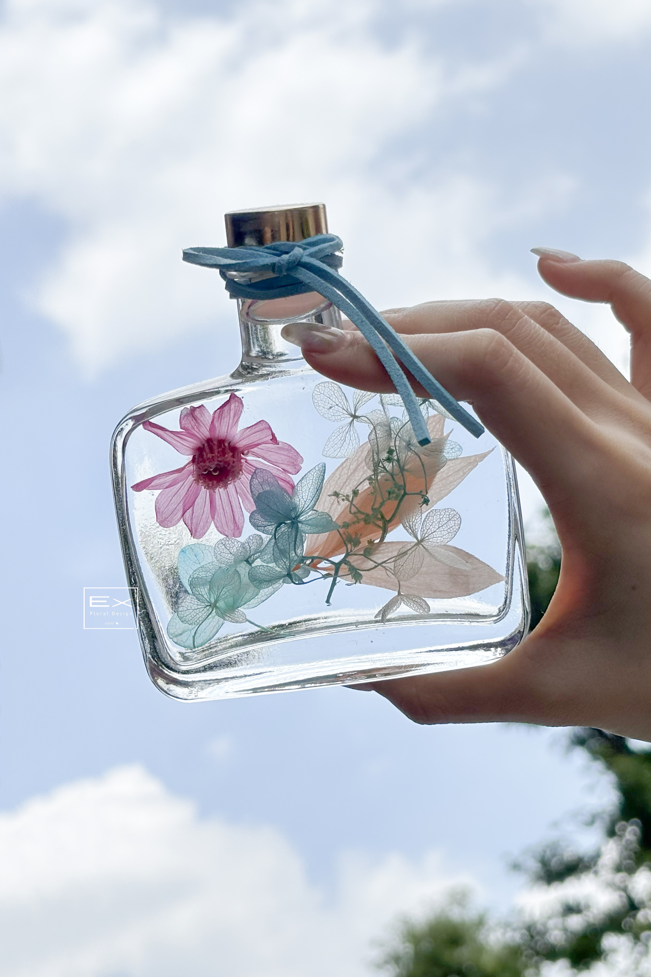 日和花景｜浮游花 悠夢花