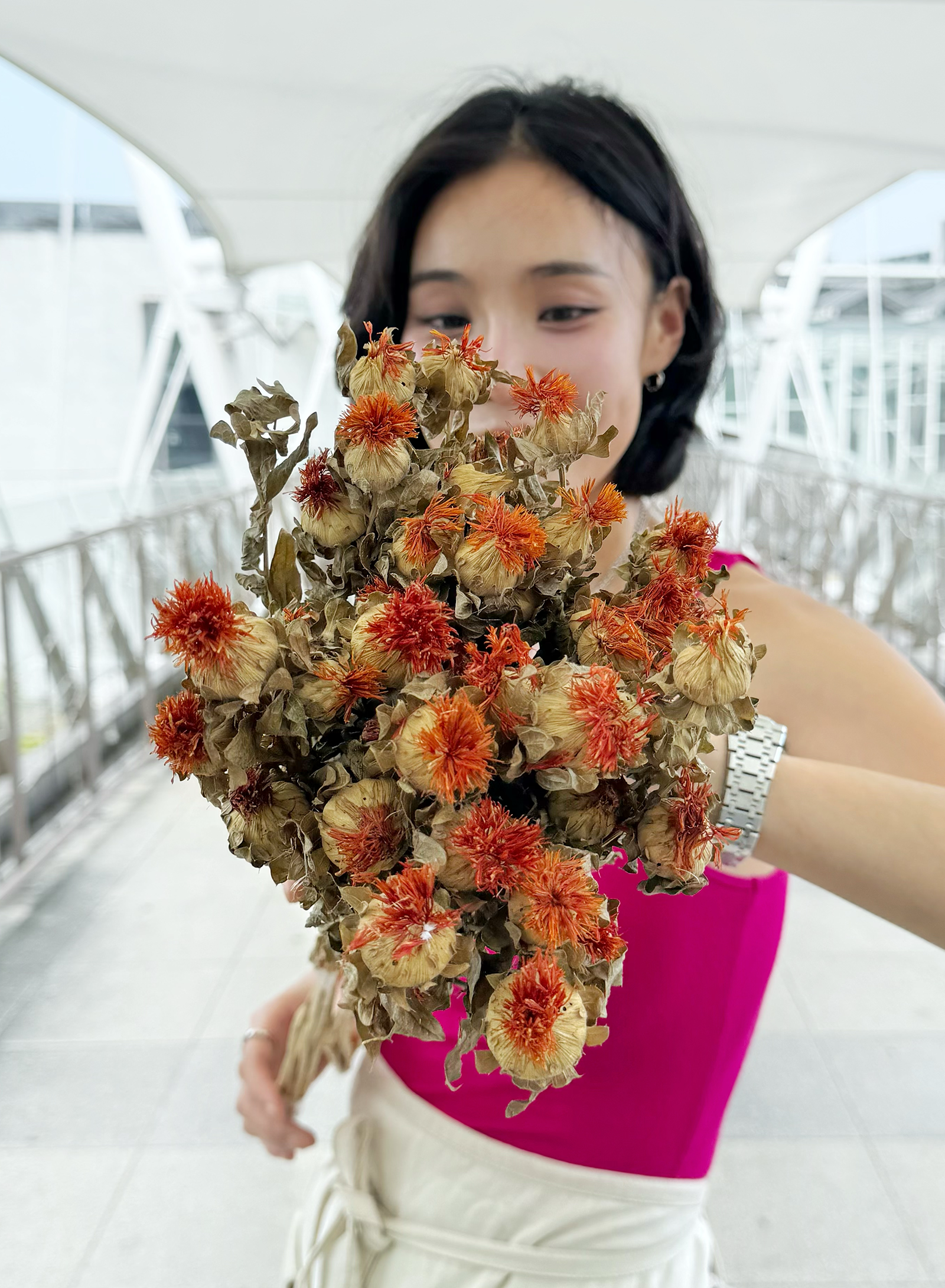 永生/乾燥橙菠蘿（多色）