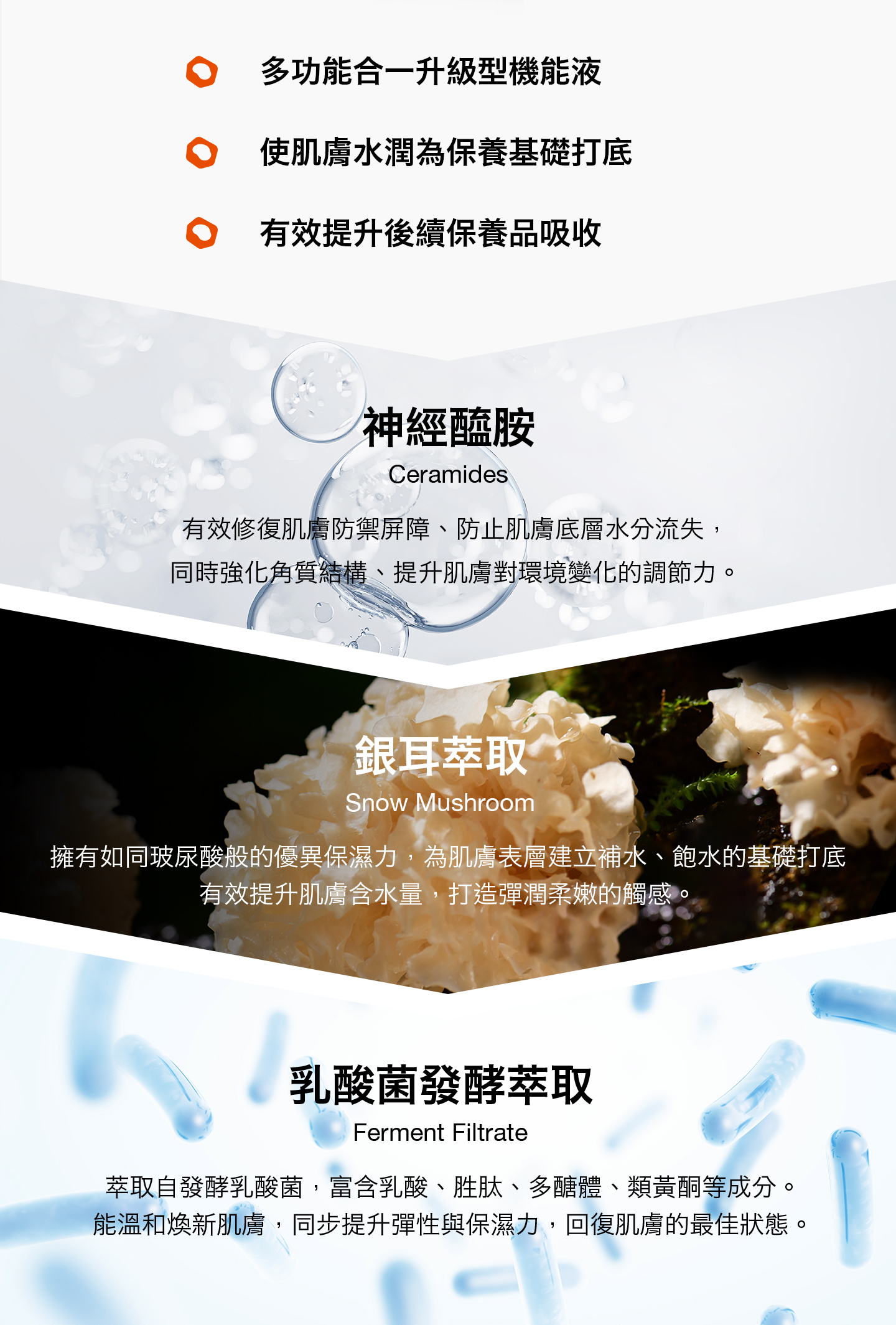 nomel 肌能賦活前導液關鍵成分與功效解析，神經醯胺、銀耳萃取、乳酸菌發酵萃取